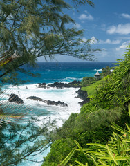 Obraz premium Gazebo on coast near Hana on Hawaiian island of Maui