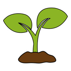 leafs plant ecology icon vector illustration design