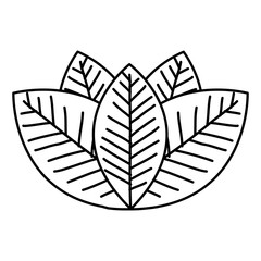 leafs plant ecology icon vector illustration design