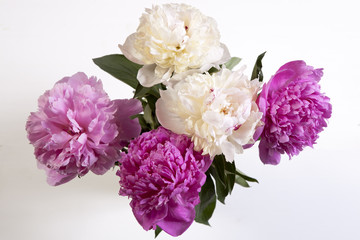 the Cerise Pink and white Peony Flowers on the wooden white table
