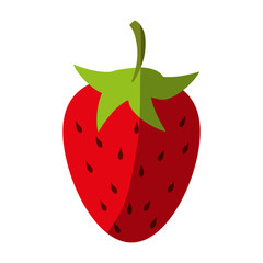 Strawberry sweet fruit illustration vector icon design graphic shadow
