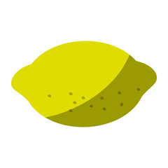 Lemon citrus refreshing icon vector design illustration graphic shadow