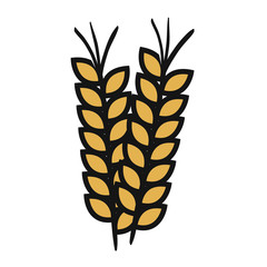 wheat spike isolated icon vector illustration design