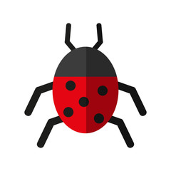 Wonderful ladybug insect illustration icon vector design graphic shadow
