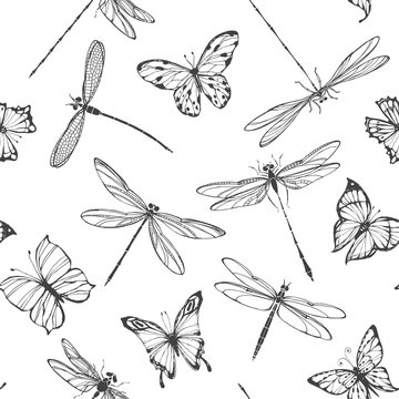 Dragonflies and butterflies. Seamless pattern. Black and white vector illustration.