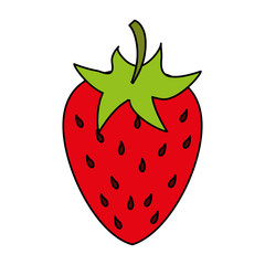 Strawberry sweet fruit illustration vector icon design graphic flat 