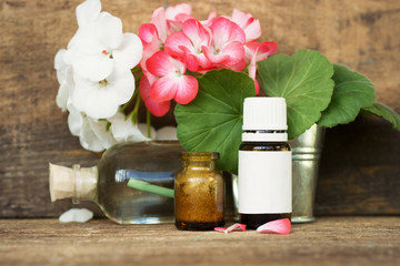Pelargonium, garden geranium, zonal geranium Flowers. essential oil - space for text 