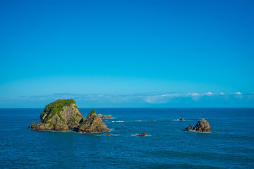 Fototapeta na wymiar Wall Island near Cape Foulwind, View from the Cape Foulwind walkway at the Seal Colony, Tauranga Bay. New Zealand