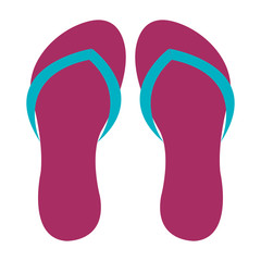 flip flops isolated icon vector illustration design