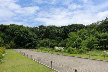 ６月の植物公園
