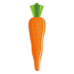 carrot fresh vegetable icon vector illustration design