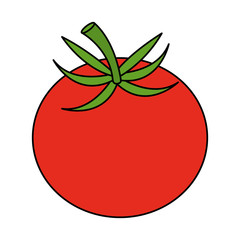 tomato fresh vegetable icon vector illustration design