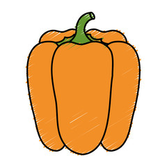 pepper fresh vegetable icon vector illustration design