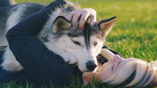 Beautiful young woman playing with funny husky dog outdoors in park