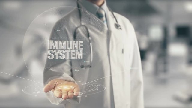 Doctor holding in hand Immune System