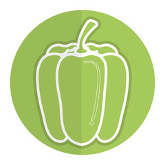 pepper fresh vegetable icon vector illustration design