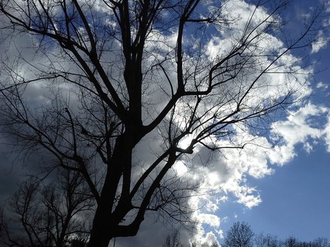 Inverno