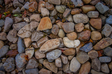 Rocks located in Franz Josef Glacier National Park, in New Zealand in a rocky background