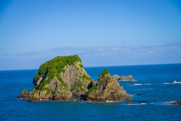 Wall Island near Cape Foulwind, View from the Cape Foulwind walkway at the Seal Colony, Tauranga Bay. New Zealand