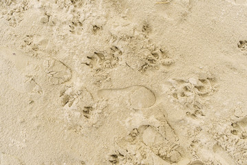 Close up of sand, many footprints