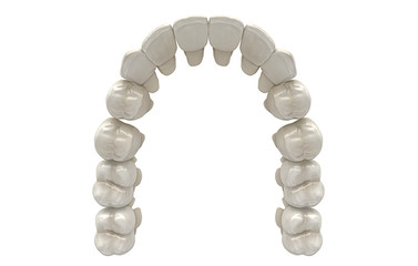 Obraz premium Denti Umani, Dentista, Dentizione, Anatomia, 3d