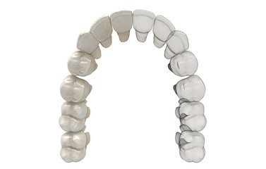 Obraz premium Denti Umani, Dentista, Dentizione, Anatomia