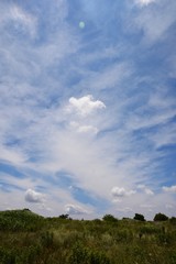 Obraz na płótnie Canvas 日本の夏・青空と白雲