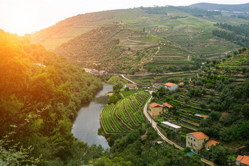 Douro Valley, Portugal. Top view of river, and the vineyards are on a hills. - obrazy, fototapety, plakaty