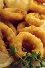 Paistettu Kalmari Fried squid Жареный кальмар Calamari fritti Kałamarnica ketju Calamar frito Fritierter Tintenfisch frit 


