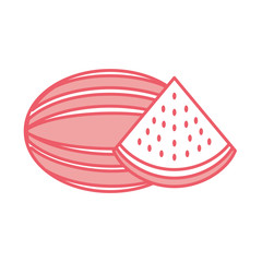 watermelon tropical and exotic fruit vector illustration design