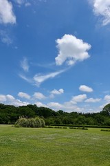 ６月の植物公園