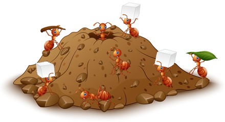 Cartoon ants colony with anthill