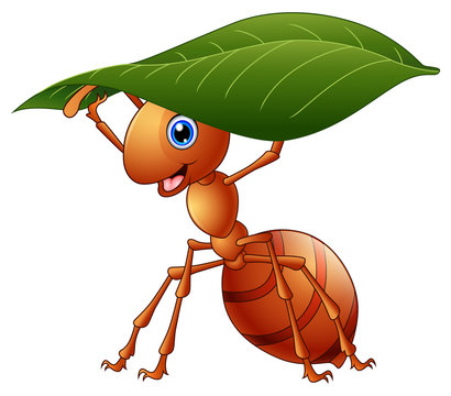 Cartoon ant holding a green leaf