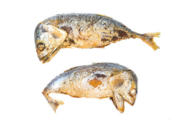 mackerel fish on white background