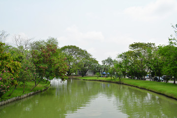 Obraz premium tropical garden landscape design