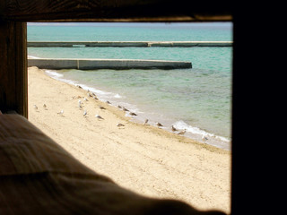 View through the window of beach and seagulls