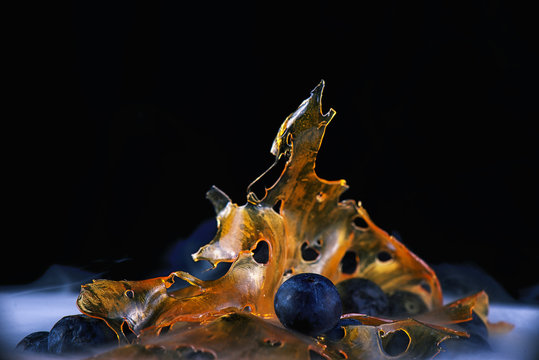 Close up detail of marijuana oil concentrate aka shatter on a plate with with blueberries