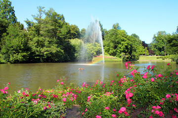 City of Wiesbaden (Hesse, Germany), Kurpark (public park) - Sea, lake, water, fountain - Spring, summer, sunny - Trees, bushes, flowers, roses