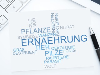Ernährung
