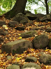 Rocks in the Fall