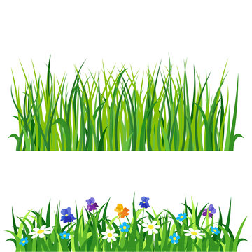 Green grass nature design elements vector illustration isolated grow agriculture nature background