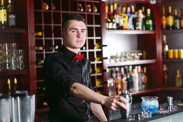 Portrait of a cute bartender.