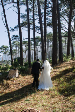 walk in forest