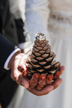 acorn hand
