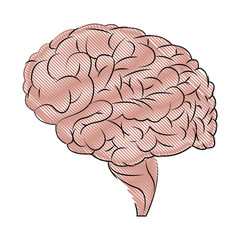 human brain organ medical healthcare science vector illustration