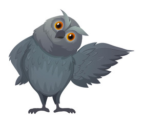 Owl with gray feather