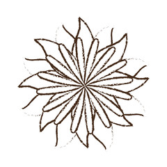 flower icon over white background vector illustration