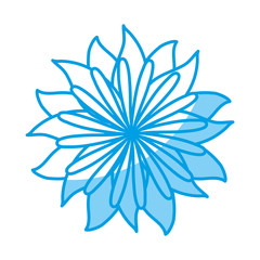 flower icon over white background vector illustration