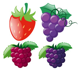 Four types of berries