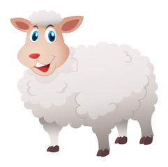 Sheep with white fur